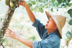 'Sống ở trang trại mang lại năng lượng cho tôi mỗi ngày'