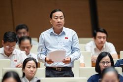 Đại biểu Quốc hội: Cân nhắc đổi tên thẻ Căn cước công dân