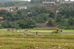 'Bức tường lửa' ở 'vùng lõi' xứ Mường của Thủ đô
