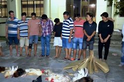 Bạc Liêu: Triệt xóa điểm đá gà ăn tiền