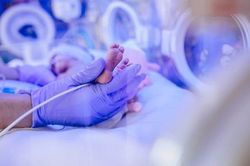 Viêm nhiễm tác động như thế nào đến sự phát triển não bộ thai nhi?