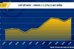 Thị trường hàng hóa nguyên liệu diễn biến sôi động