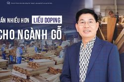 Cần nhiều hơn 'liều doping' cho ngành gỗ
