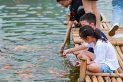 Trẻ em thích thú với cá Koi ở hồ Tây
