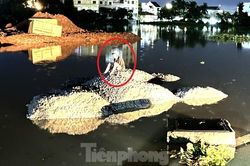 Người đàn ông bị nước cuốn trôi, tỉnh dậy tưởng mình đang ở đảo