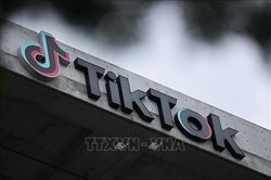 Giám đốc vận hành TikTok từ chức
