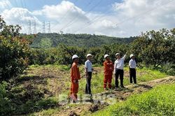 Kiểm tra tuyến đường dây 500kV Vĩnh Tân – Sông Mây – Tân Uyên
