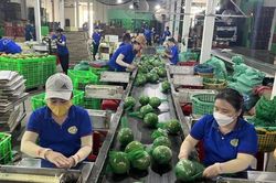 Chi phí logistics cao khiến xuất khẩu nông sản nhiều thuận lợi nhưng kém cạnh tranh