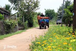 Nông dân phát triển sản xuất, xây dựng nông thôn mới