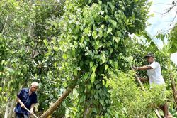 Những người 'giữ lửa' bản làng