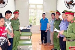 Khởi tố, bắt tạm giam đối tượng hủy hoại rừng