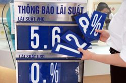 Phó thống đốc: Lãi suất tiền gửi bình quân 5,8%/năm, cho vay 8,9%/năm
