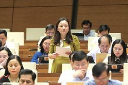 ĐBQH Cầm Thị Mẫn (Thanh Hóa): Phân loại công trình quốc phòng và khu quân sự phù hợp hơn