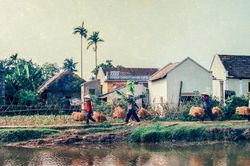 Cuộc đời sau ống kính: Ngày mùa 1/4 thế kỷ trước