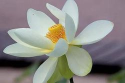 4 dấu hiệu của người phụ nữ trưởng thành thực sự, bạn có bao nhiêu?