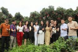 Một ngày trải nghiệm tại vựa vải thiều Lục Ngạn