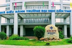 Trường Đại học Cần Thơ công bố điểm chuẩn xét tuyển sớm