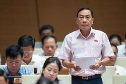 Đại biểu Quốc hội lo lực lượng an ninh cơ sở làm tăng chi ngân sách