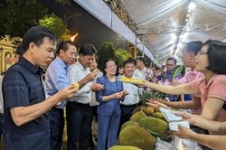 Về xứ Đoài thưởng thức mít Sơn Tây