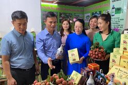 Quảng bá hơn 100 sản phẩm nông sản an toàn tới người tiêu dùng Thủ đô