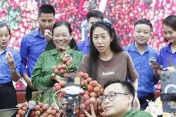TikToker bán đặc sản Bắc Giang, thu hơn 1 tỷ đồng