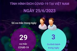 Cập nhật tình hình dịch COVID-19 tại Việt Nam ngày 25/6
