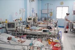 TP Hồ Chí Minh: Đã tiếp cận được thuốc Immunoglobulin điều trị bệnh tay chân miệng nặng