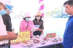 Phát triển doanh nghiệp, doanh nghiệp khởi nghiệp giai đoạn 2020 - 2025