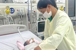 Bệnh tay chân miệng do chủng virus EV71 tiếp tục diễn biến phức tạp