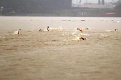 Tìm thấy thi thể nam sinh mất tích khi tham gia giải bơi ở Quảng Ninh