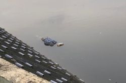 Quảng Ninh: Phát hiện thi thể nam giới nổi giữa hồ