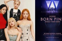 Giám đốc Sở VHTT Hà Nội nói gì về concert của Blackpink tại Hà Nội?