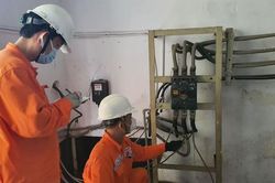 EVNHCMC: Bảo đảm điện cho kỳ thi tốt nghiệp THPT năm 2023
