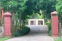 Lâm trường mất trộm hơn 500 triệu đồng