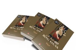 Nín thở lắng nghe 'Ai hát giữa rừng khuya'