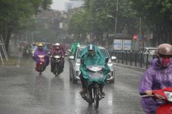 Ngày 26/6, Nghệ An có mưa, mưa vừa, có nơi mưa to và dông