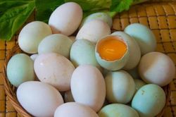 Mua trứng vịt nên chọn quả vỏ trắng hay vỏ xanh?