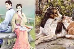 Cổ nhân đúc kết: 'Đàn ông sợ mài, đàn bà sợ ngâm, con gà sợ ném, con chó sợ liếm' vì sao lại như vậy?