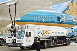 Chính phủ yêu cầu Vietnam Airlines chuyển Skypec sang PVN