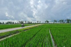 An Giang: Chuyển đổi số, thúc đẩy kinh tế nông nghiệp tuần hoàn