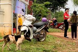 Gia Lai: 1 cháu bé tử vong do bệnh dại