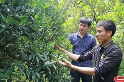 Phát huy vai trò gương mẫu và nêu gương của cán bộ, đảng viên