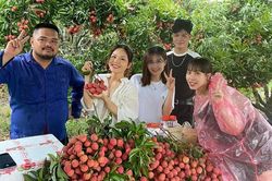 Đẩy mạnh tiêu thụ vải thiều qua các sàn thương mại điện tử