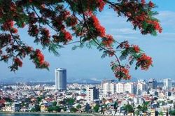Hải Phòng tìm chủ đầu tư cho dự án Khu nhà ở gần 1.110 tỷ đồng
