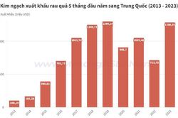 Rau quả xuất khẩu sang Trung Quốc tăng 80% về trị giá