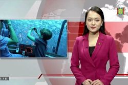 Nổ tàu lặn Titan, cảnh báo hoạt động nguy hiểm thám hiểm biển sâu | Nhìn ra thế giới | 26/06/2023