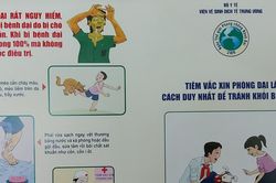 2 trẻ em tử vong do chó dại cắn ở Gia Lai