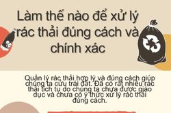 Làm thế nào để xử lý rác thải đúng cách và chính xác