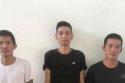 Long An: Khởi tố 4 đối tượng trộm cắp tài sản