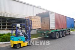 Găng tay Chu Lai đẩy mạnh hoạt động xuất khẩu sang các thị trường trọng điểm